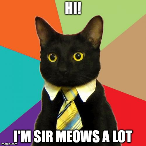 Business Cat Meme | HI! I'M SIR MEOWS A LOT | image tagged in memes,business cat | made w/ Imgflip meme maker
