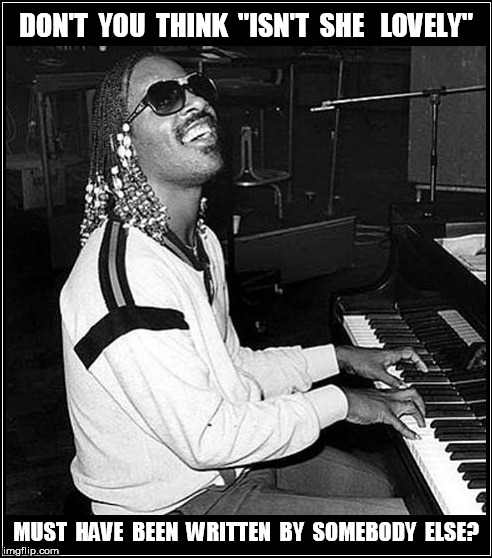 Isn't She Lovely | DON'T  YOU  THINK  "ISN'T  SHE   LOVELY"; MUST  HAVE  BEEN  WRITTEN  BY  SOMEBODY  ELSE? | image tagged in stevie wonder | made w/ Imgflip meme maker