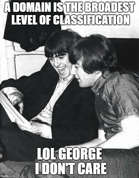The Beatles | A DOMAIN IS THE BROADEST LEVEL OF CLASSIFICATION; LOL GEORGE I DON'T CARE | image tagged in the beatles | made w/ Imgflip meme maker