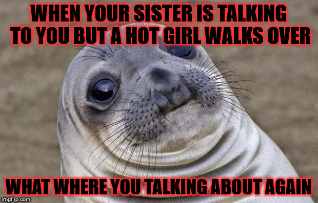 Awkward Moment Sealion | WHEN YOUR SISTER IS TALKING TO YOU BUT A HOT GIRL WALKS OVER; WHAT WHERE YOU TALKING ABOUT AGAIN | image tagged in memes,awkward moment sealion | made w/ Imgflip meme maker