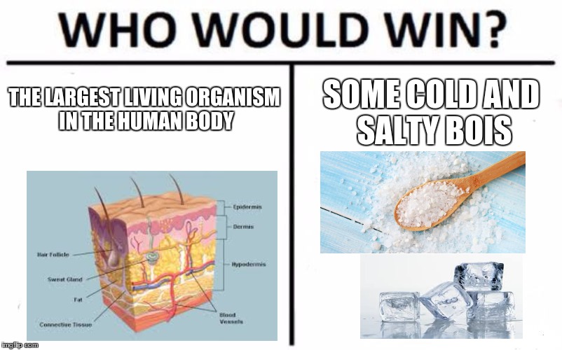 Who Would Win? Meme | THE LARGEST LIVING ORGANISM IN THE HUMAN BODY; SOME COLD AND SALTY BOIS | image tagged in memes,who would win | made w/ Imgflip meme maker