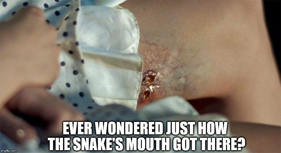 EVER WONDERED JUST HOW THE SNAKE'S MOUTH GOT THERE? | image tagged in life after beth,snake bite | made w/ Imgflip meme maker