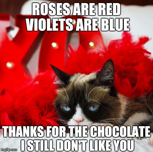 Grumpy Cat Valentine Bah Humbug | ROSES ARE RED VIOLETS ARE BLUE; THANKS FOR THE CHOCOLATE I STILL DON'T LIKE YOU | image tagged in grumpy cat valentine bah humbug | made w/ Imgflip meme maker