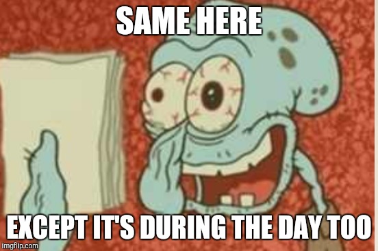SAME HERE EXCEPT IT'S DURING THE DAY TOO | made w/ Imgflip meme maker