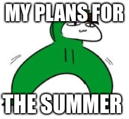 MY PLANS FOR; THE SUMMER | image tagged in my plans for,i have no idea what i am doing,i'm sorry | made w/ Imgflip meme maker