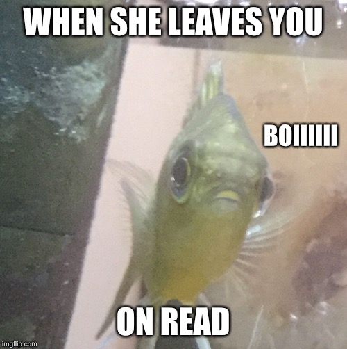 WHEN SHE LEAVES YOU; BOIIIIII; ON READ | image tagged in why justwhy | made w/ Imgflip meme maker