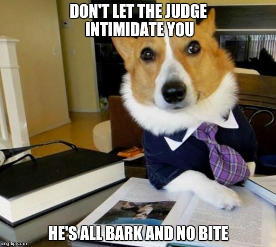 Lawyer Corgi Dog | DON'T LET THE JUDGE INTIMIDATE YOU; HE'S ALL BARK AND NO BITE | image tagged in lawyer corgi dog | made w/ Imgflip meme maker