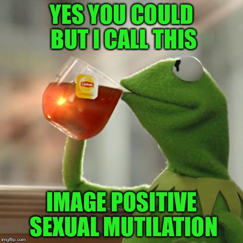 But That's None Of My Business Meme | YES YOU COULD BUT I CALL THIS IMAGE POSITIVE SEXUAL MUTILATION | image tagged in memes,but thats none of my business,kermit the frog | made w/ Imgflip meme maker