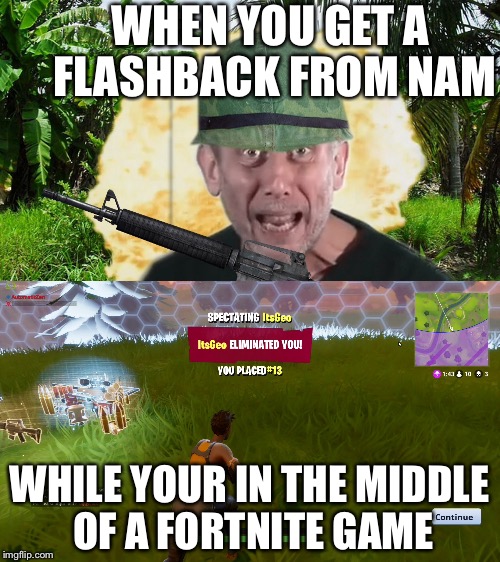 WHEN YOU GET A FLASHBACK FROM NAM; WHILE YOUR IN THE MIDDLE OF A FORTNITE GAME | image tagged in fortnite,flashback from nam | made w/ Imgflip meme maker