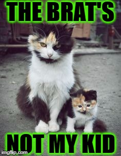 THE BRAT'S; NOT MY KID | image tagged in brat | made w/ Imgflip meme maker