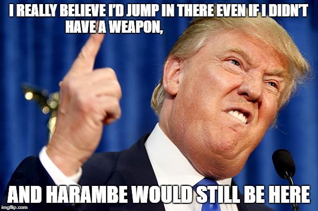 Donald Trump | I REALLY BELIEVE I’D JUMP IN THERE EVEN IF I DIDN’T HAVE A WEAPON, AND HARAMBE WOULD STILL BE HERE | image tagged in donald trump | made w/ Imgflip meme maker