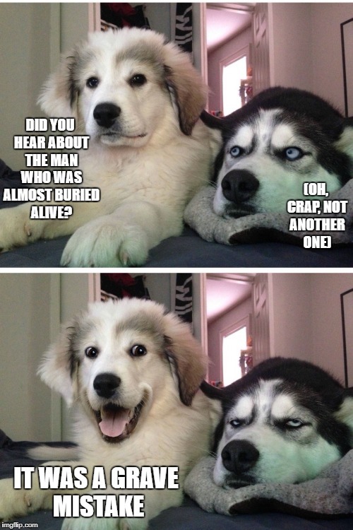Bad pun dogs | (OH, CRAP, NOT ANOTHER ONE); DID YOU HEAR ABOUT THE MAN WHO WAS ALMOST BURIED ALIVE? IT WAS A GRAVE MISTAKE | image tagged in bad pun dogs | made w/ Imgflip meme maker