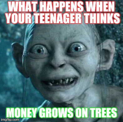 Gollum Meme | WHAT HAPPENS WHEN YOUR TEENAGER THINKS; MONEY GROWS ON TREES | image tagged in memes,gollum | made w/ Imgflip meme maker