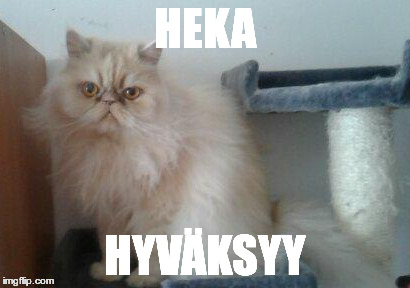 HEKA; HYVÄKSYY | made w/ Imgflip meme maker
