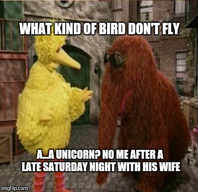 WHAT KIND OF BIRD DON'T FLY A...A UNICORN? NO ME AFTER A LATE SATURDAY NIGHT WITH HIS WIFE | made w/ Imgflip meme maker