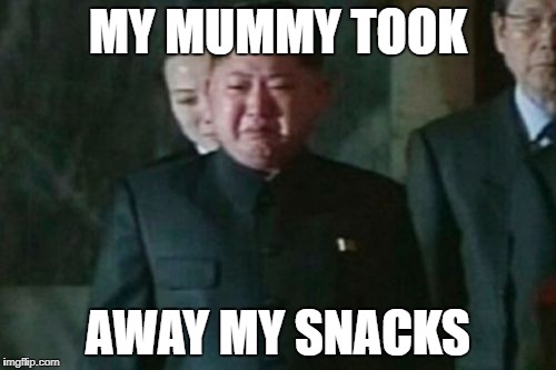 Kim Jong Un Sad | MY MUMMY TOOK; AWAY MY SNACKS | image tagged in memes,kim jong un sad | made w/ Imgflip meme maker
