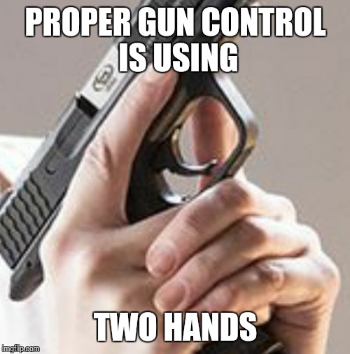 Trigger Discipline  | PROPER GUN CONTROL IS USING; TWO HANDS | image tagged in trigger discipline | made w/ Imgflip meme maker