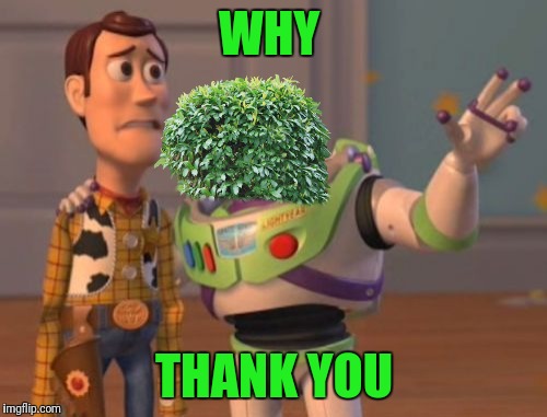 X, X Everywhere Meme | WHY THANK YOU | image tagged in memes,x x everywhere | made w/ Imgflip meme maker