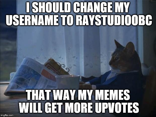 i should cat | I SHOULD CHANGE MY USERNAME TO RAYSTUDIOOBC; THAT WAY MY MEMES WILL GET MORE UPVOTES | image tagged in i should cat | made w/ Imgflip meme maker