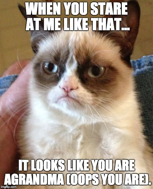 Grumpy Cat | WHEN YOU STARE AT ME LIKE THAT... IT LOOKS LIKE YOU ARE AGRANDMA (OOPS YOU ARE). | image tagged in memes,grumpy cat | made w/ Imgflip meme maker