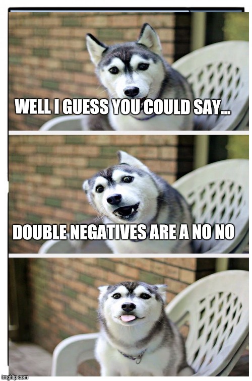 WELL I GUESS YOU COULD SAY... DOUBLE NEGATIVES ARE A NO NO | made w/ Imgflip meme maker