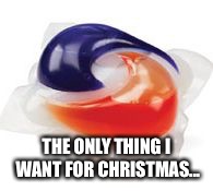 Tide Pod | THE ONLY THING I WANT FOR CHRISTMAS... | image tagged in tide pod | made w/ Imgflip meme maker