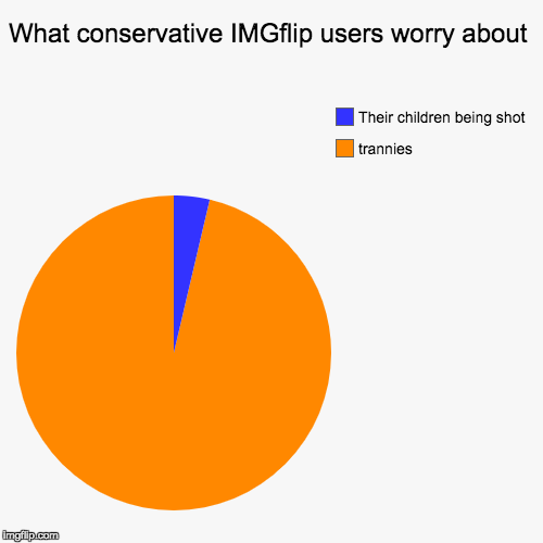 What conservative IMGflip users worry about | trannies, Their children being shot | image tagged in pie charts,radical | made w/ Imgflip chart maker