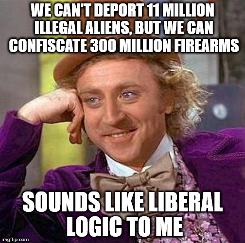 Creepy Condescending Wonka | WE CAN'T DEPORT 11 MILLION ILLEGAL ALIENS, BUT WE CAN CONFISCATE 300 MILLION FIREARMS; SOUNDS LIKE LIBERAL LOGIC TO ME | image tagged in memes,creepy condescending wonka | made w/ Imgflip meme maker
