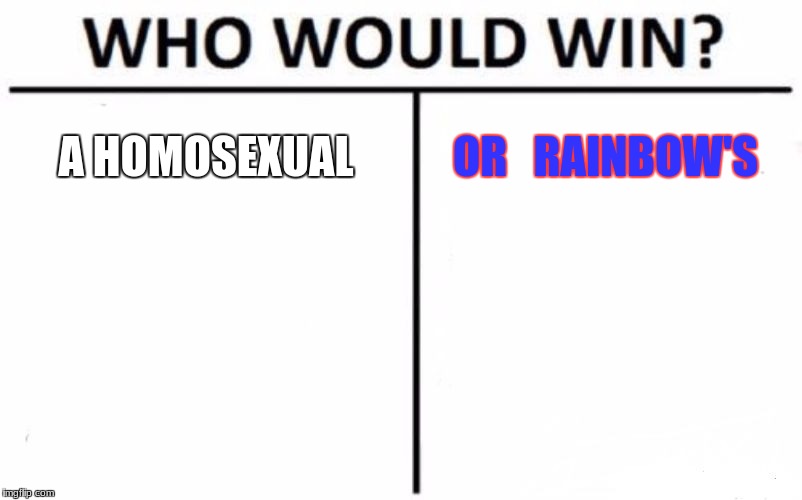 Who Would Win? Meme | A HOMOSEXUAL; OR   RAINBOW'S | image tagged in memes,who would win | made w/ Imgflip meme maker