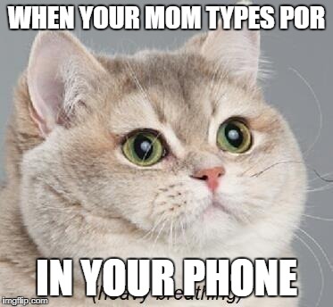 Heavy Breathing Cat | WHEN YOUR MOM TYPES POR; IN YOUR PHONE | image tagged in memes,heavy breathing cat | made w/ Imgflip meme maker