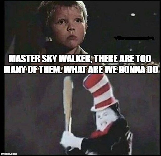 star wars cat in the hat | MASTER SKY WALKER, THERE ARE TOO MANY OF THEM. WHAT ARE WE GONNA DO | image tagged in cat in the hat | made w/ Imgflip meme maker