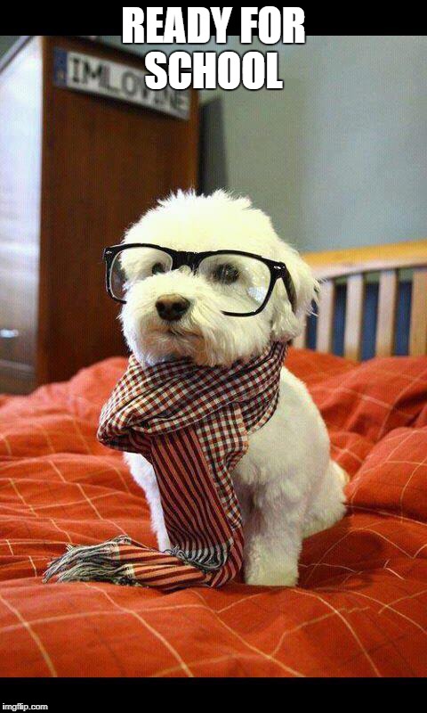 Intelligent Dog | READY FOR SCHOOL | image tagged in memes,intelligent dog | made w/ Imgflip meme maker