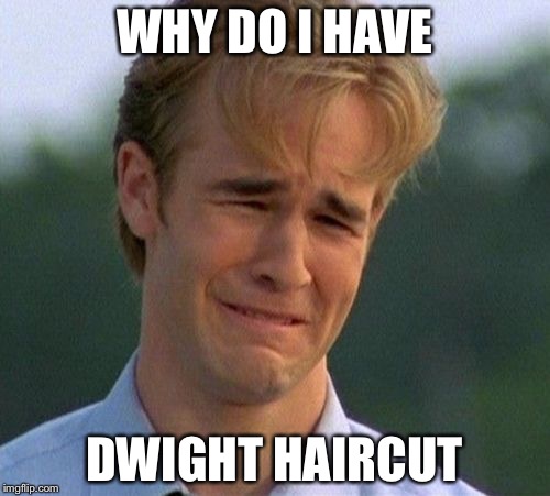 1990s First World Problems | WHY DO I HAVE; DWIGHT HAIRCUT | image tagged in memes,1990s first world problems | made w/ Imgflip meme maker