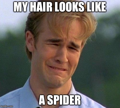 1990s First World Problems Meme | MY HAIR LOOKS LIKE; A SPIDER | image tagged in memes,1990s first world problems | made w/ Imgflip meme maker