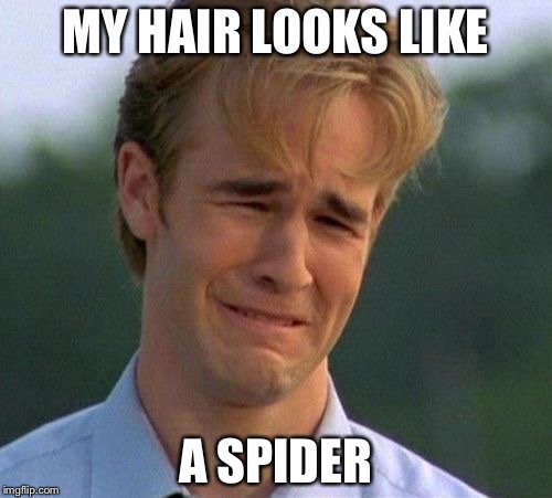 1990s First World Problems | MY HAIR LOOKS LIKE; A SPIDER | image tagged in memes,1990s first world problems | made w/ Imgflip meme maker
