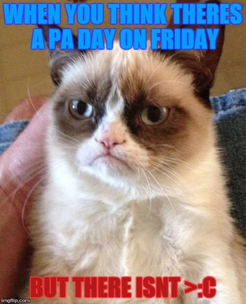 Grumpy Cat | WHEN YOU THINK THERES A PA DAY ON FRIDAY; BUT THERE ISNT >:C | image tagged in memes,grumpy cat | made w/ Imgflip meme maker