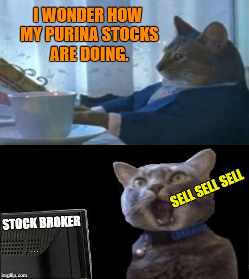 stock market Memes & GIFs - Imgflip