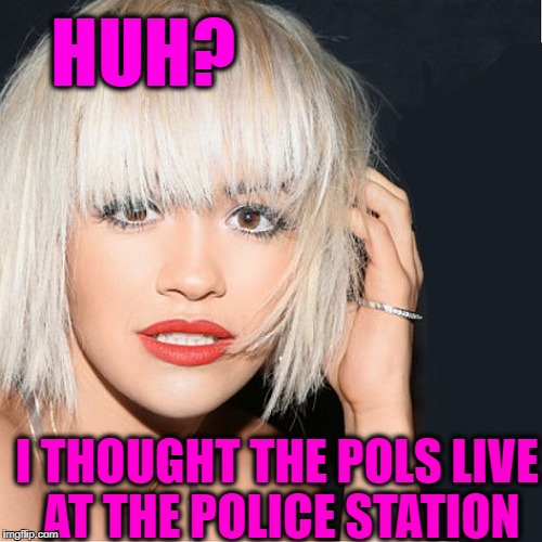 ditz | HUH? I THOUGHT THE POLS LIVE AT THE POLICE STATION | image tagged in ditz | made w/ Imgflip meme maker