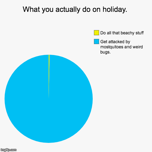 What you actually do on holiday. | Get attacked by mostquitoes and weird bugs., Do all that beachy stuff | image tagged in funny,pie charts | made w/ Imgflip chart maker