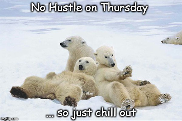 Hustle Bears | No Hustle on Thursday; ... so just chill out | image tagged in chill,hustle,bears,snow | made w/ Imgflip meme maker