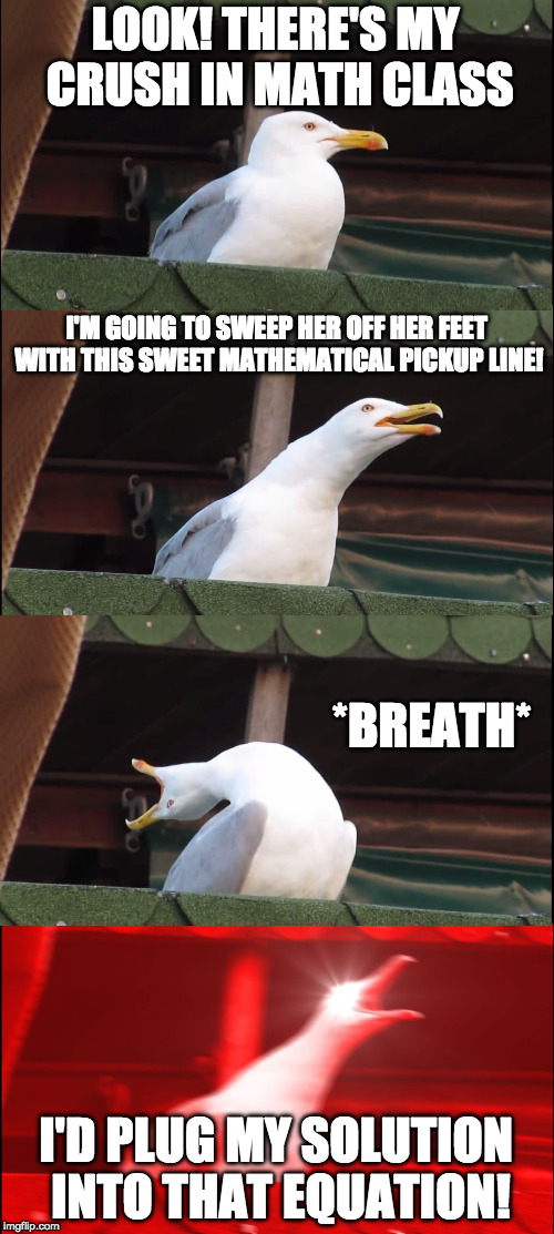 Oh look my Crush... | LOOK! THERE'S MY CRUSH IN MATH CLASS; I'M GOING TO SWEEP HER OFF HER FEET WITH THIS SWEET MATHEMATICAL PICKUP LINE! *BREATH*; I'D PLUG MY SOLUTION INTO THAT EQUATION! | image tagged in memes,inhaling seagull,math,pick up lines,crush,breathe | made w/ Imgflip meme maker