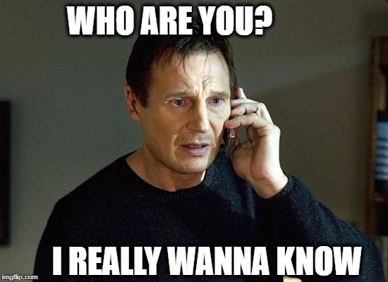 Guess I've got CSI:Miami on my mind today | WHO ARE YOU? I REALLY WANNA KNOW | image tagged in memes,liam neeson taken 2 | made w/ Imgflip meme maker