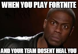 Kevin Hart | WHEN YOU PLAY FORTNITE; AND YOUR TEAM DOSENT HEAL YOU | image tagged in memes,kevin hart the hell | made w/ Imgflip meme maker