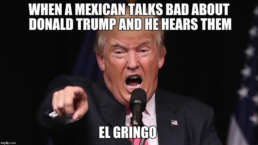 WHEN A MEXICAN TALKS BAD ABOUT DONALD TRUMP AND HE HEARS THEM; EL GRINGO | image tagged in donald trump | made w/ Imgflip meme maker