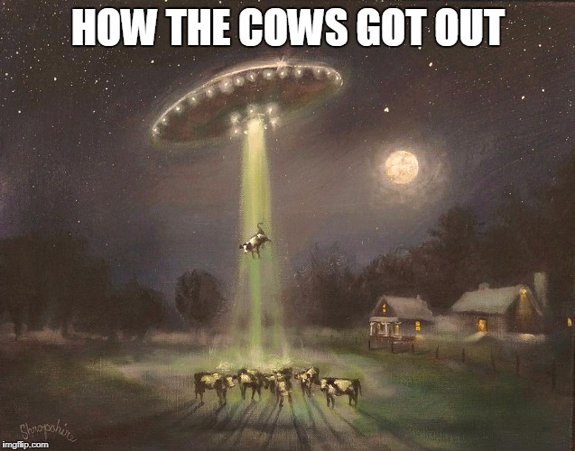HOW THE COWS GOT OUT | image tagged in cow alien abduction | made w/ Imgflip meme maker