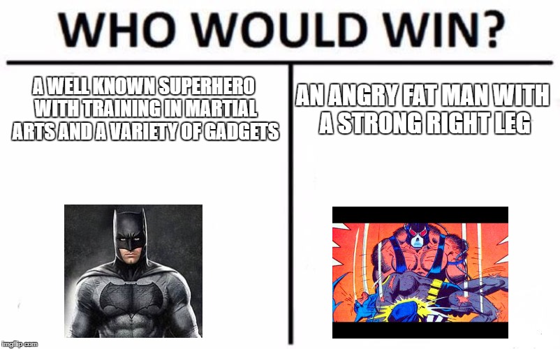 Who Would Win? | A WELL KNOWN SUPERHERO WITH TRAINING IN MARTIAL ARTS AND A VARIETY OF GADGETS; AN ANGRY FAT MAN WITH A STRONG RIGHT LEG | image tagged in memes,who would win | made w/ Imgflip meme maker