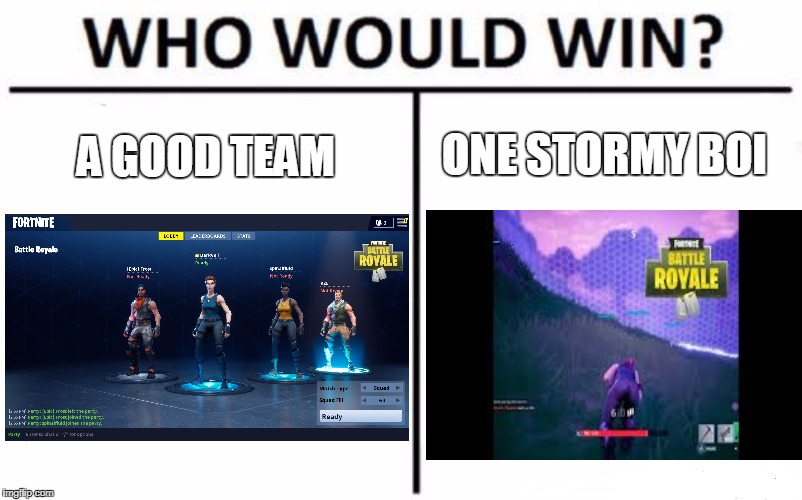 Who Would Win? | ONE STORMY BOI; A GOOD TEAM | image tagged in memes,who would win | made w/ Imgflip meme maker