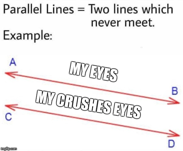 Rip fake love.    | MY EYES; MY CRUSHES EYES | image tagged in parallel lines | made w/ Imgflip meme maker
