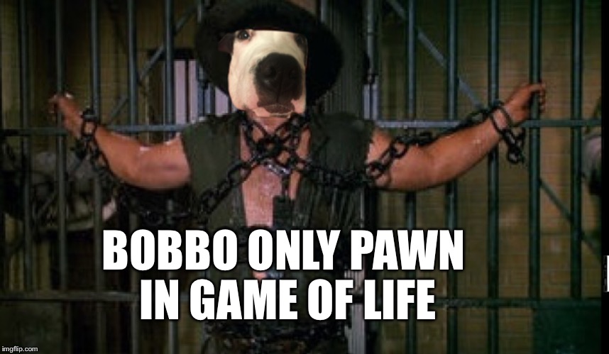 Bobbo only pawn in game of life | BOBBO ONLY PAWN IN GAME OF LIFE | image tagged in bobbo,only,pawn,game,life | made w/ Imgflip meme maker