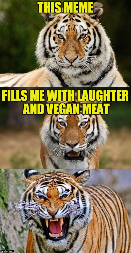Tiger Puns | THIS MEME FILLS ME WITH LAUGHTER AND VEGAN MEAT | image tagged in tiger puns | made w/ Imgflip meme maker